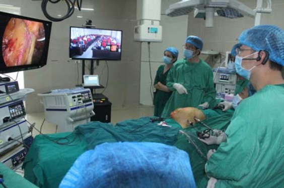 Hội thảo quốc tế: 